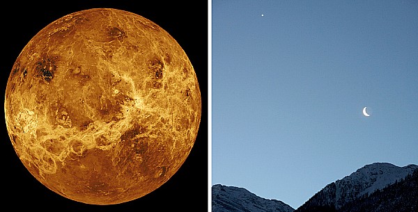 Venus
